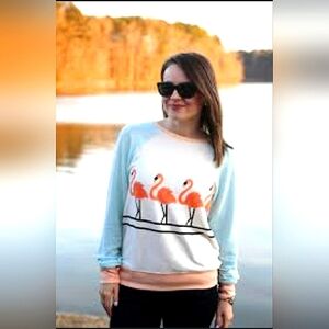 🦩WildFox Pastel Flamingos Sweater🦩💕💙